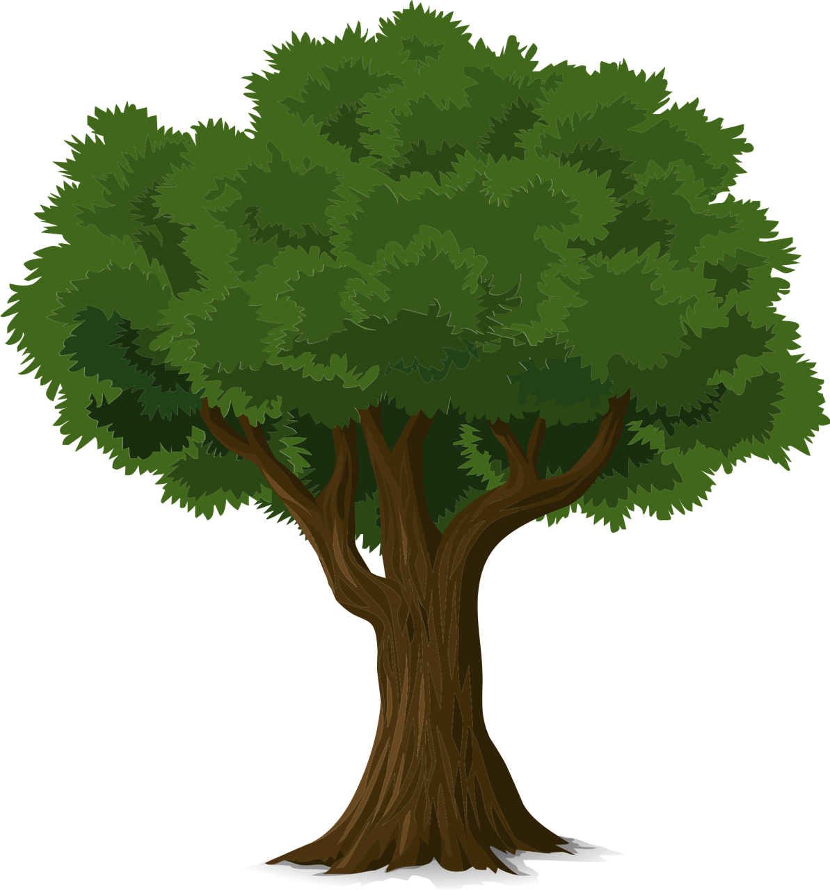 tree, trunk, leaves, branches, nature, outdoors, environment, ecology, icon, tree icon, digital art, digital artwork, cut out, tree, tree, tree, tree, tree